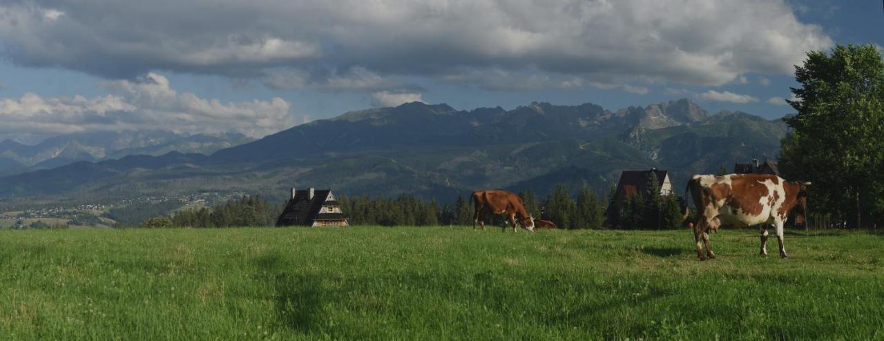 Dom Wczasowy Na Szczycie Zakopane Ngoại thất bức ảnh